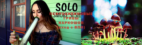 прущие грибы Навашино