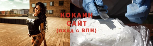 гашик Нея