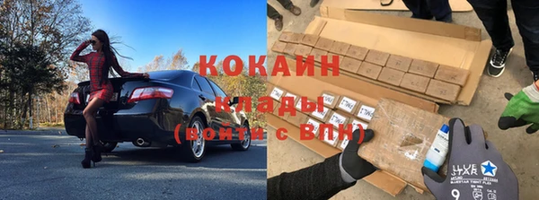 гашик Нея