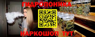 соль ск Дубна