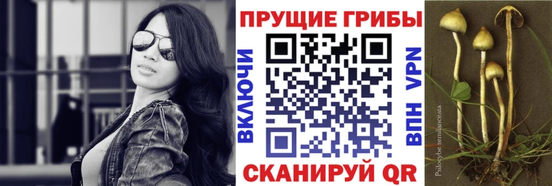shop наркотические препараты Нижневартовск Галлюциногенные грибы ЛСД