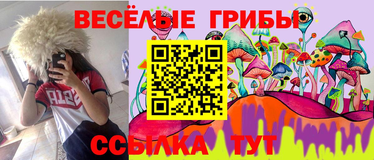 Псилоцибиновые грибы GOLDEN TEACHER Нижневартовск